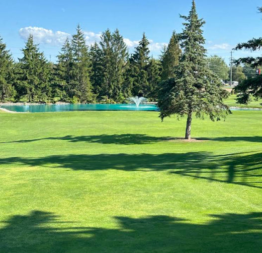 Golf 18 Holes with Cart