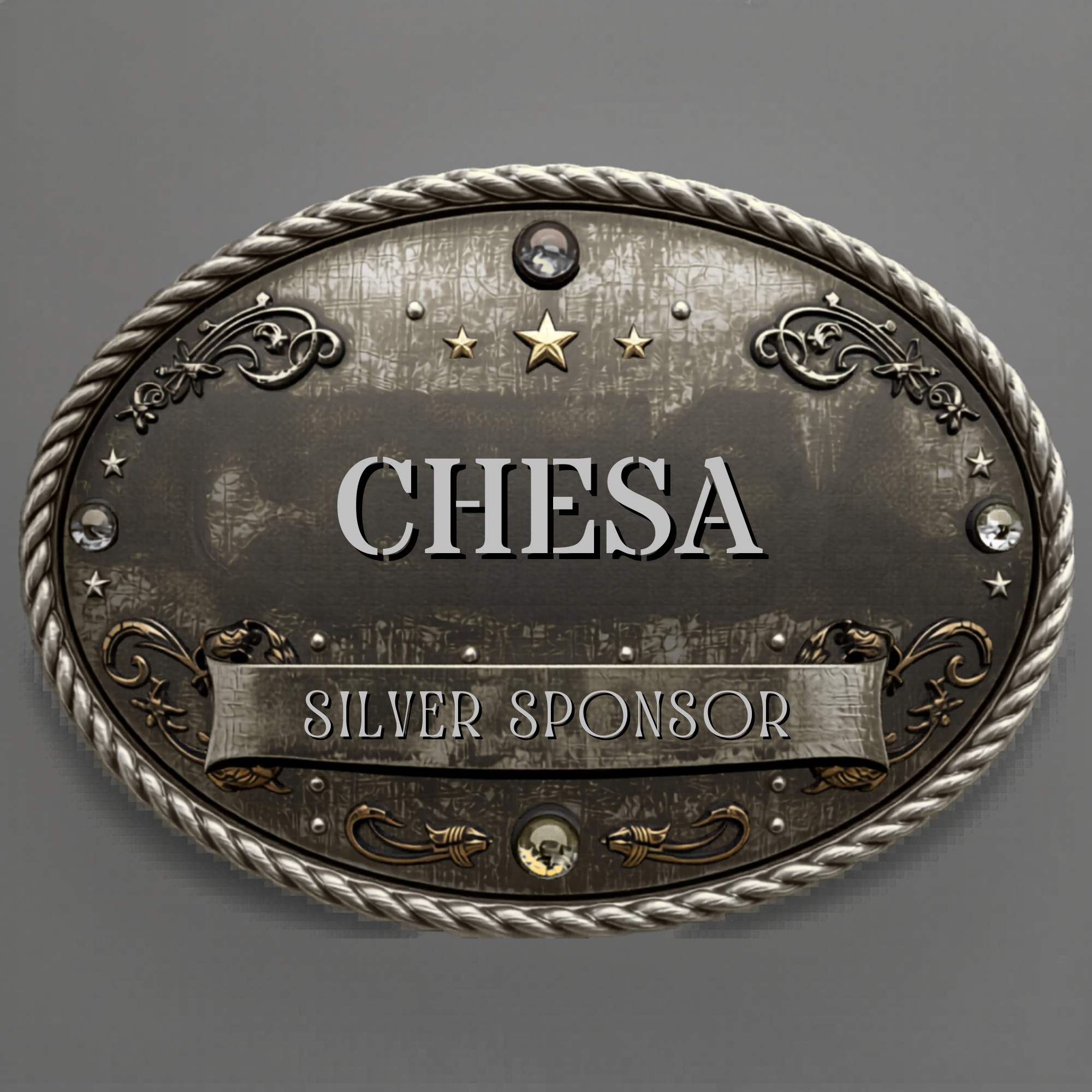 Silver Level
